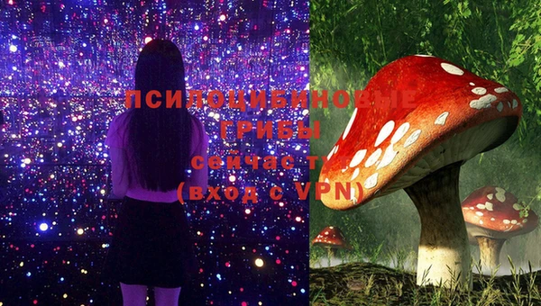 ECSTASY Алексеевка