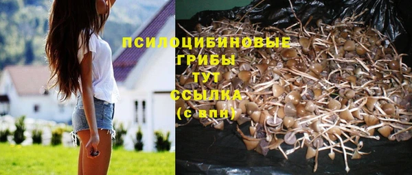 прущая мука Саяногорск