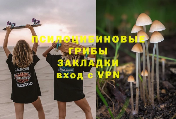 трава Сатка