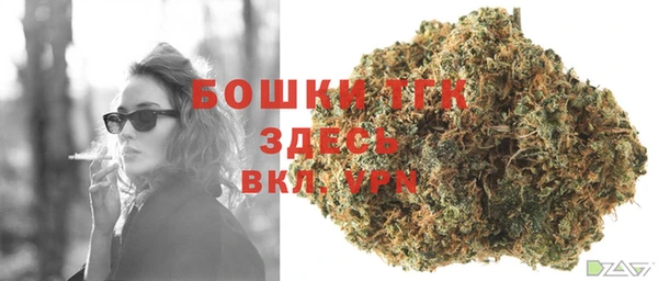 трава Сатка