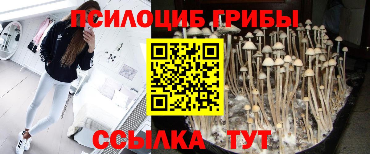 Псилоцибиновые грибы MAGIC MUSHROOMS Карталы